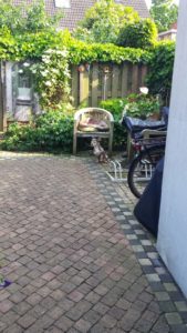 IMG-20160528-WA0001-001
